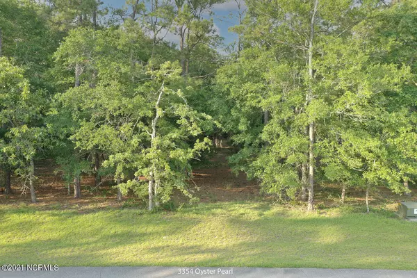 Supply, NC 28462,3354 Oyster Pearl Court SW