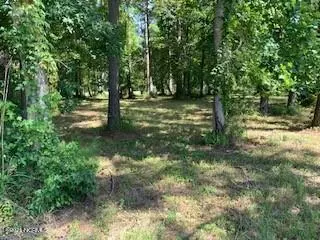 3715 Viridian TRCE, New Bern, NC 28562