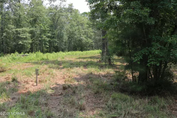 Leland, NC 28451,6656 Mossey Run DR NE