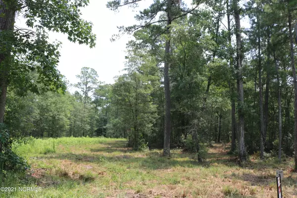 Leland, NC 28451,6656 Mossey Run DR NE