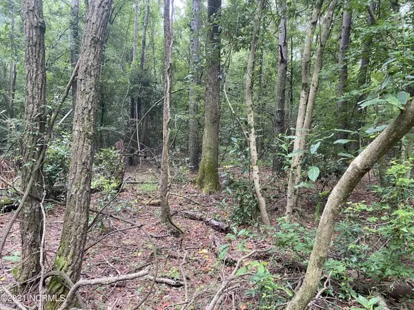 Rose Hill, NC 28458,0 Pasture Branch RD