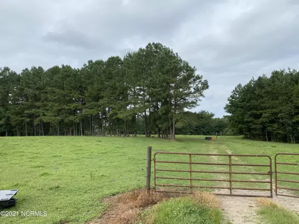 Castalia, NC 27816,1069 Reed Road