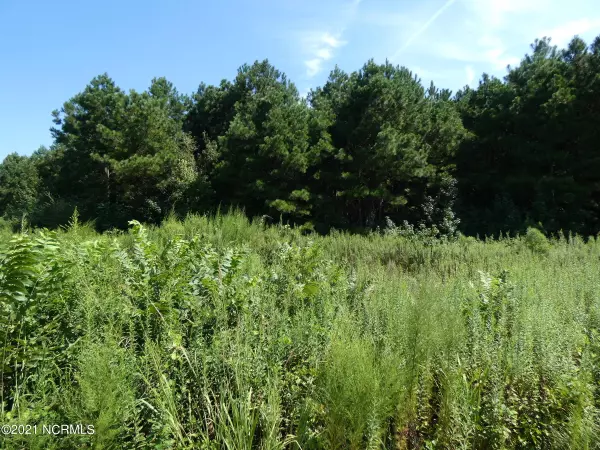 Roseboro, NC 28382,2 Devond Tew RD