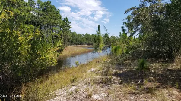 Boiling Spring Lakes, NC 28461,32 Kennedy Circle