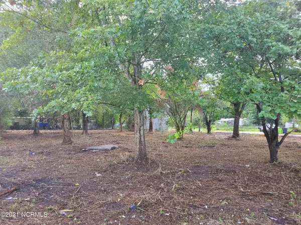 Midway Park, NC 28544,3 Cavella CT