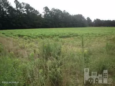 Chadbourn, NC 28431,819 Bee Tree RD