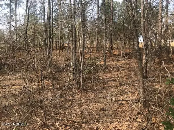 189 Ramble Ridge, Southern Pines, NC 28387