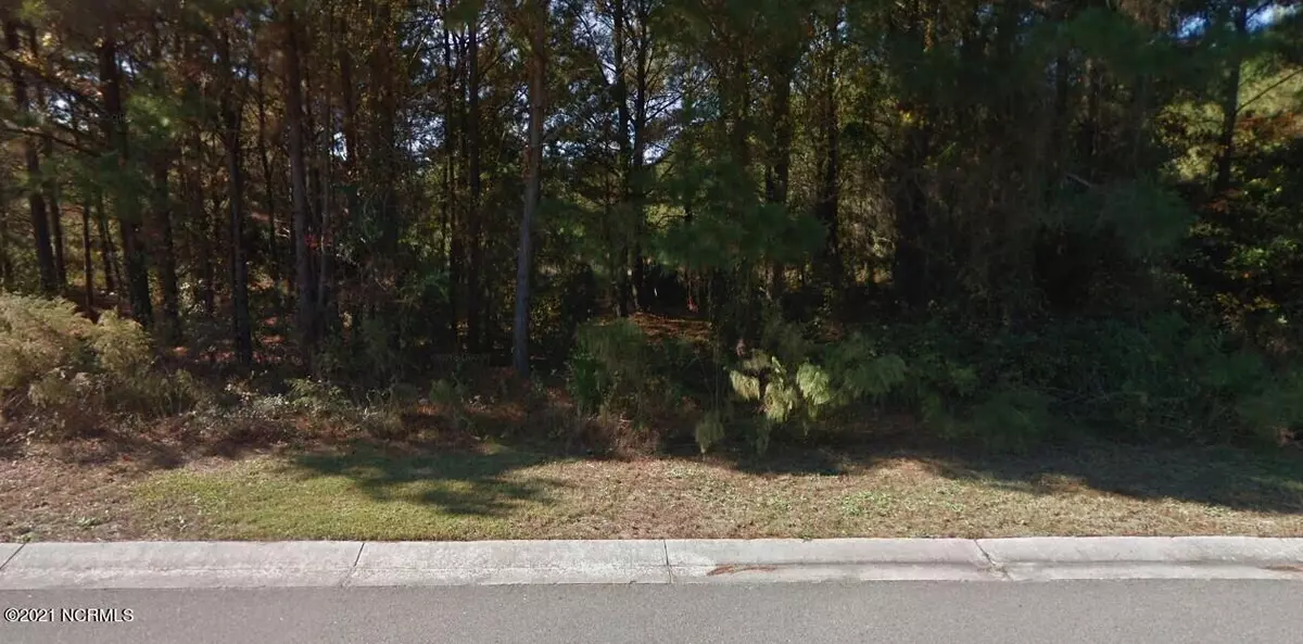 Hampstead, NC 28443,Lot 33 Tall Ships LN