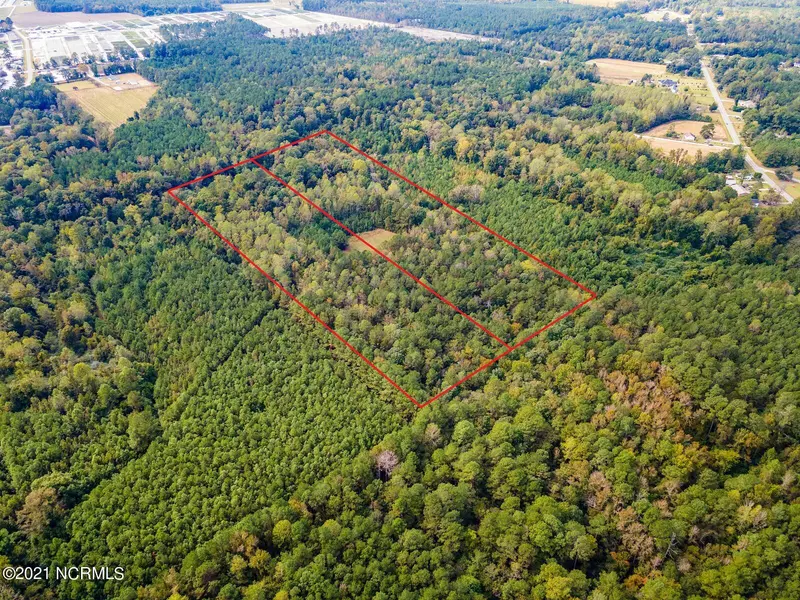 13ac Off Johnson Nursery Road, Willard, NC 28478