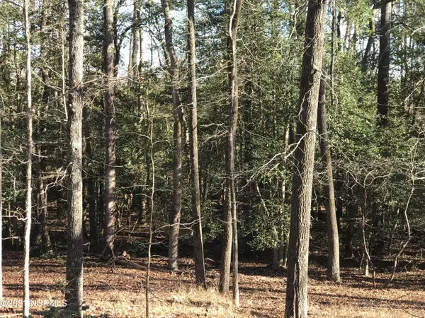 106 Tartan TRL, Southern Pines, NC 28387