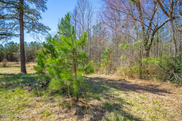West End, NC 27376,7902 Main ST