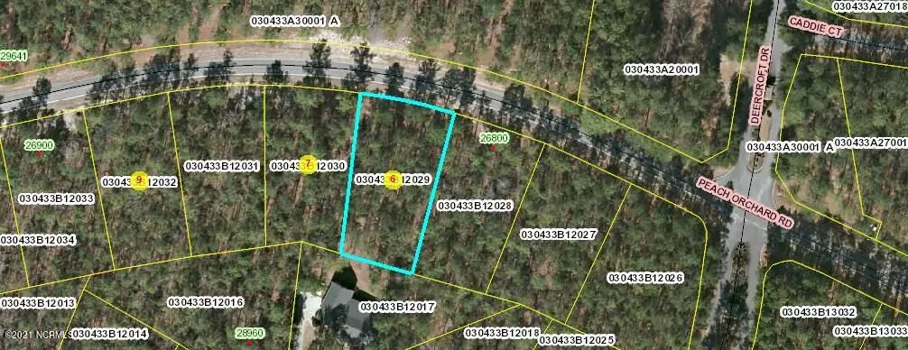 Lot 29 Peach Orchard RD, Wagram, NC 28396