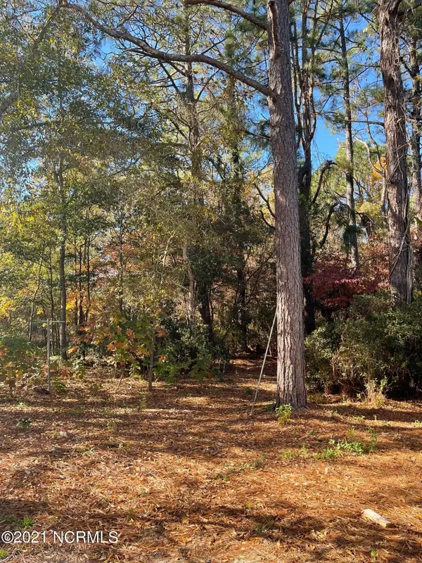 Hamlet, NC 28345,2013 Mcdonald AVE