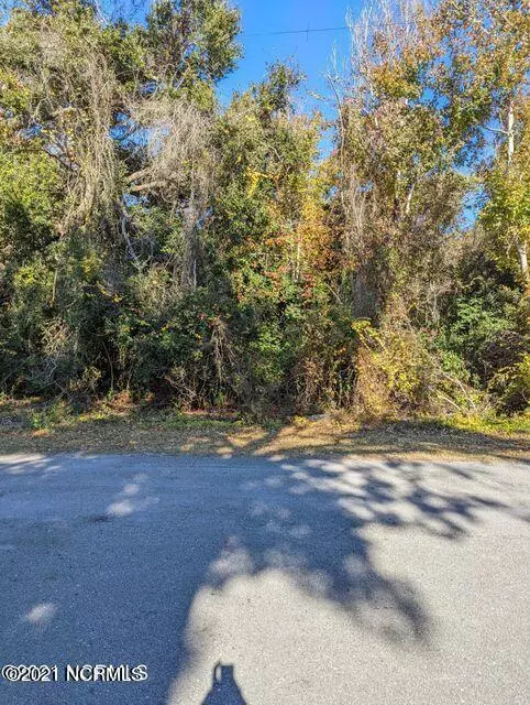 Pine Knoll Shores, NC 28512,172 Loblolly DR