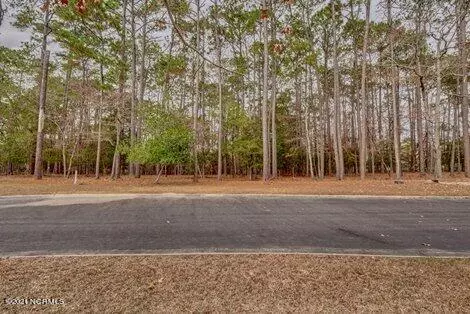 Shallotte, NC 28470,3740 Pine Brook Trail