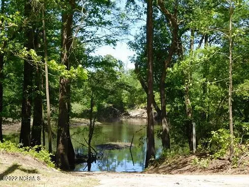 Harrells, NC 28444,Lot 68-A Black River LN