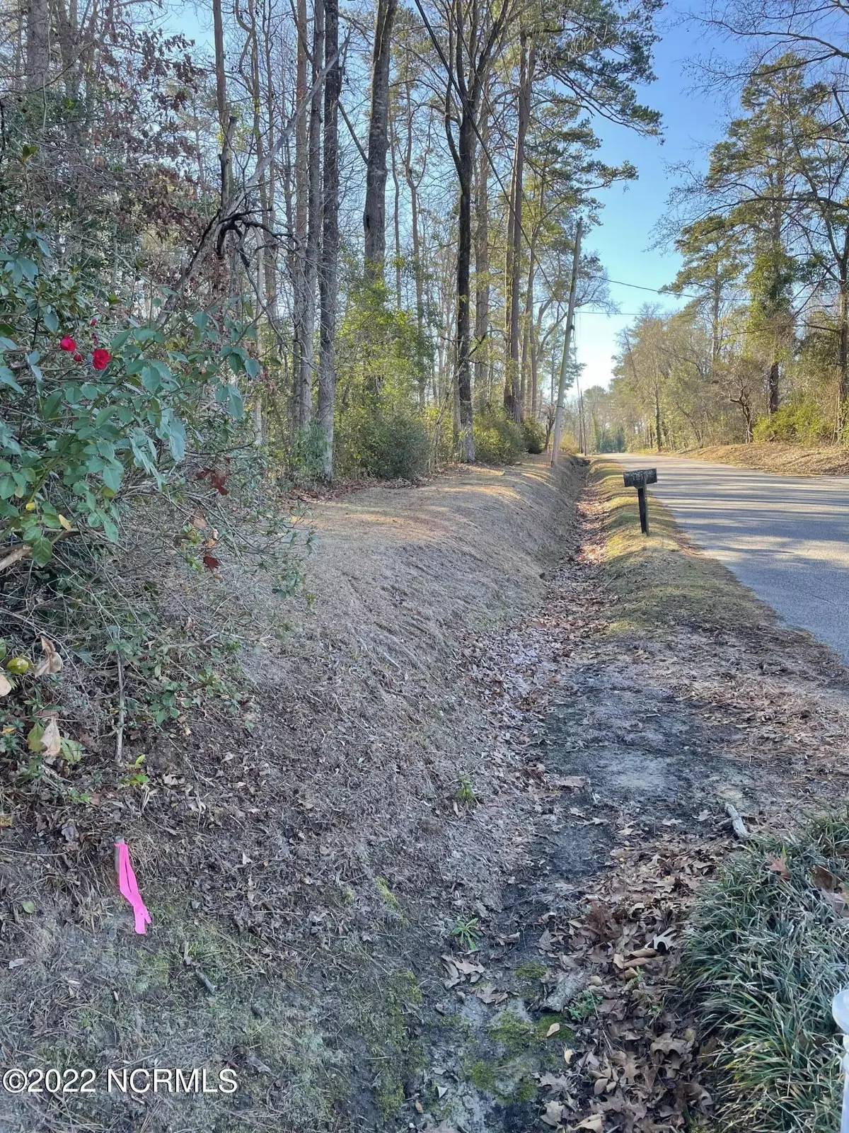 Whiteville, NC 28472,1208 Woodland DR