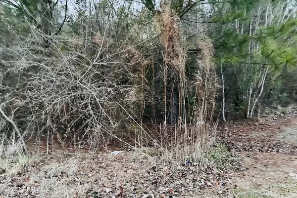 Whiteville, NC 28472,184 Elizabeth ST