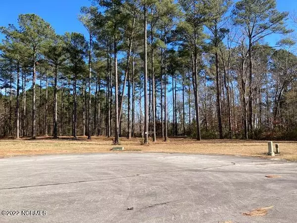 Arapahoe, NC 28510,27 Bald Head Island Court S