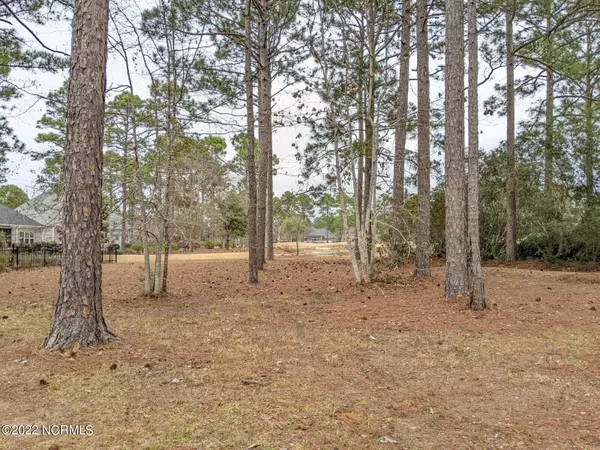 Bolivia, NC 28422,484 Wild Pine Court SE