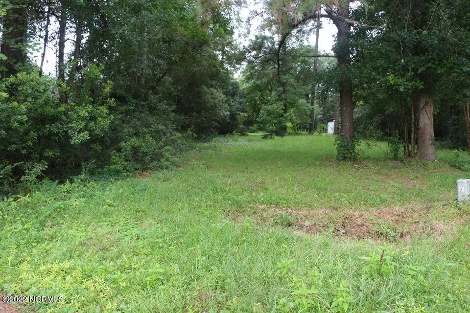 River Bend, NC 28562,106 Seafarers CT