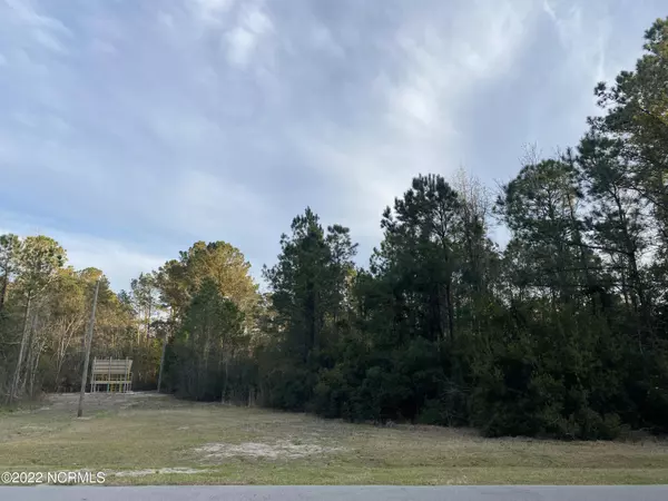 Fairfield Harbour, NC 28560,2325 Caracara DR