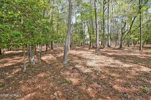 Shallotte, NC 28470,3736 Pine Brook TRL