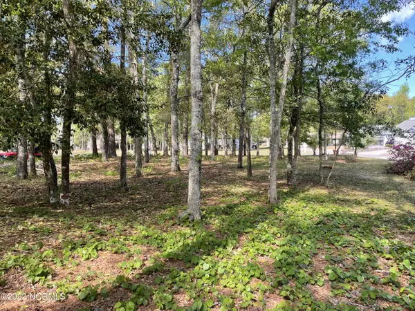 Ocean Isle Beach, NC 28469,1656 Winding WAY SW