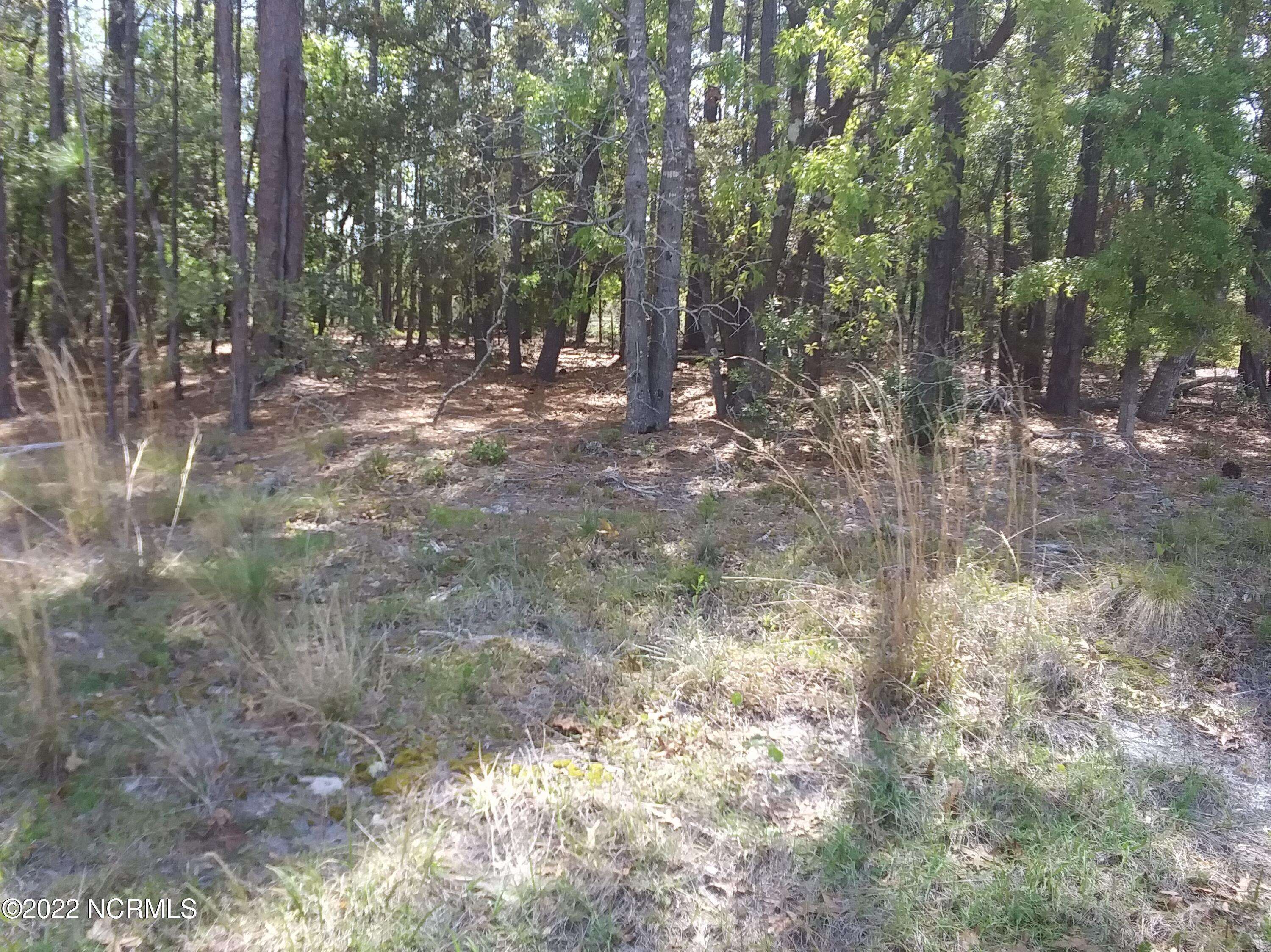 Southport, NC 28461,881 Eden DR