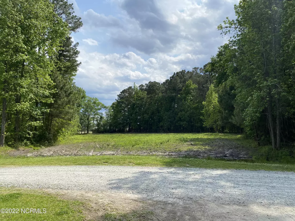 Teachey, NC 28464,1.26 Acres Quail RD