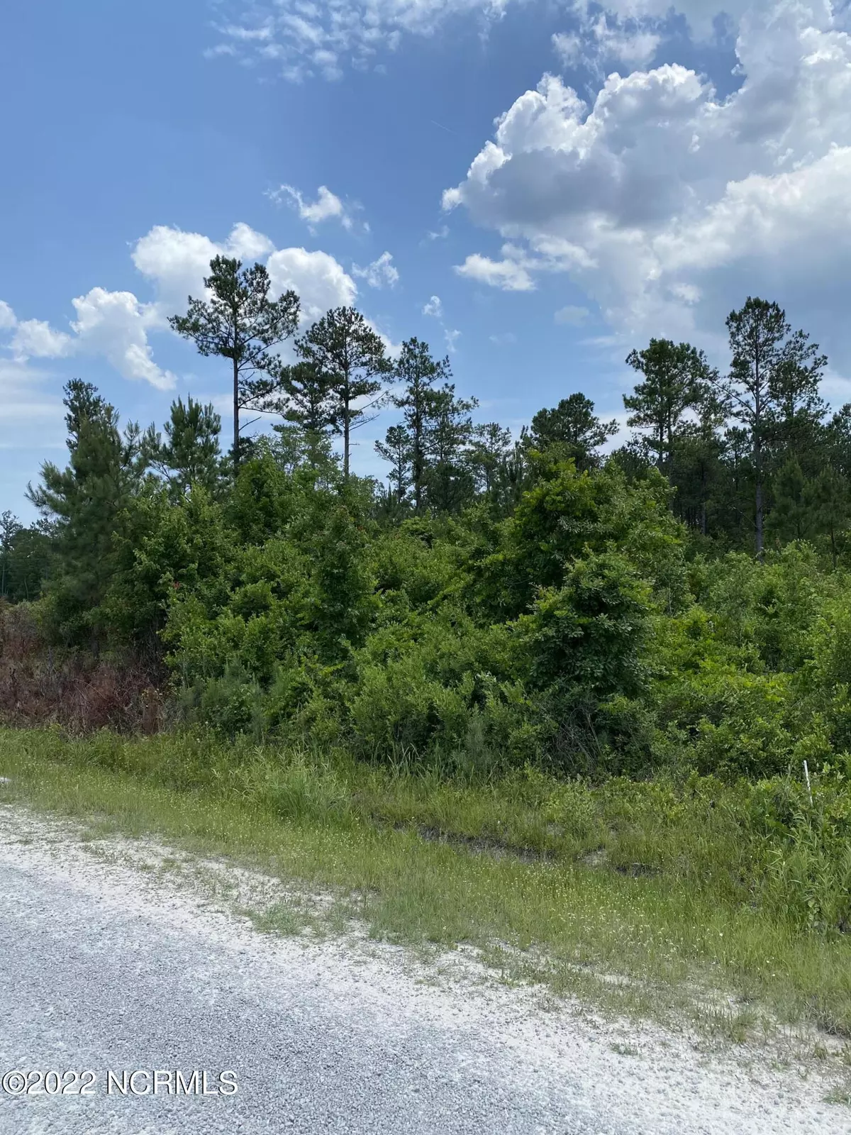 Rocky Point, NC 28457,Lot 23 Equine Landing Drive