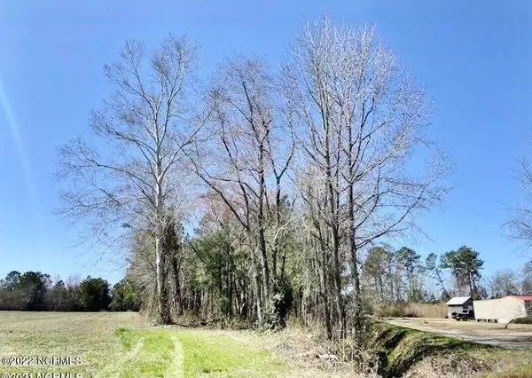 Near 96 A L Coleman DR, Nakina, NC 28455