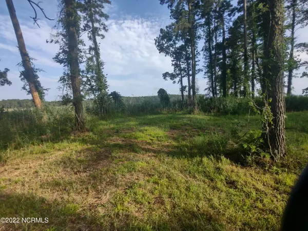 Belhaven, NC 27810,0 Sr 1731