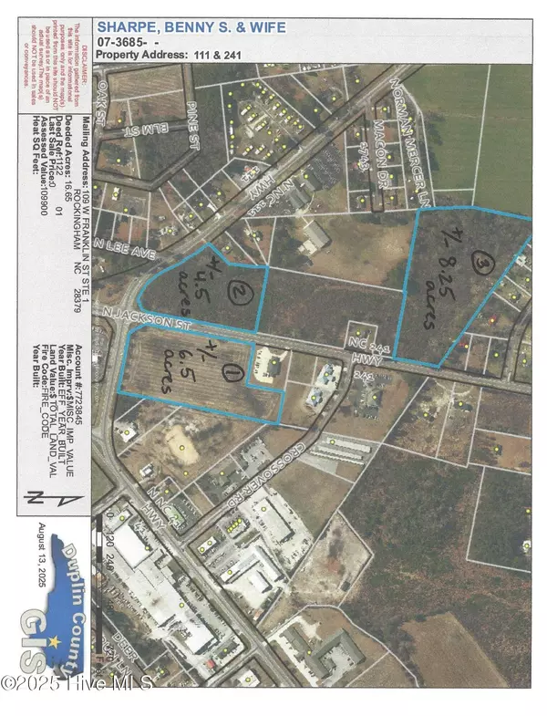 Beulaville, NC 28518,111 241 HWY #Lot 1