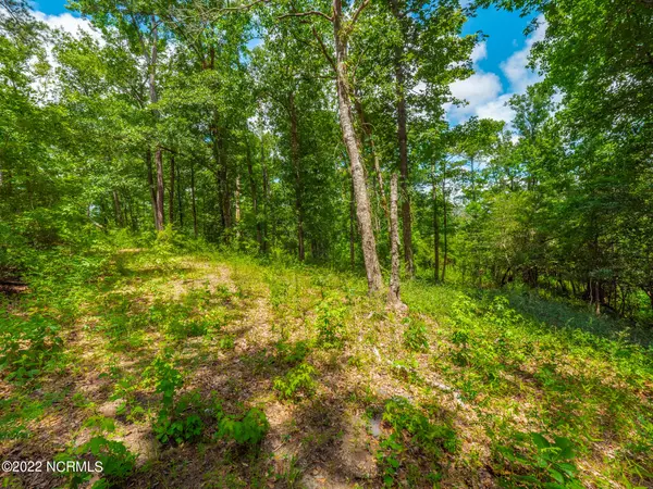 Leland, NC 28451,9681 Sweet Apple LN NE