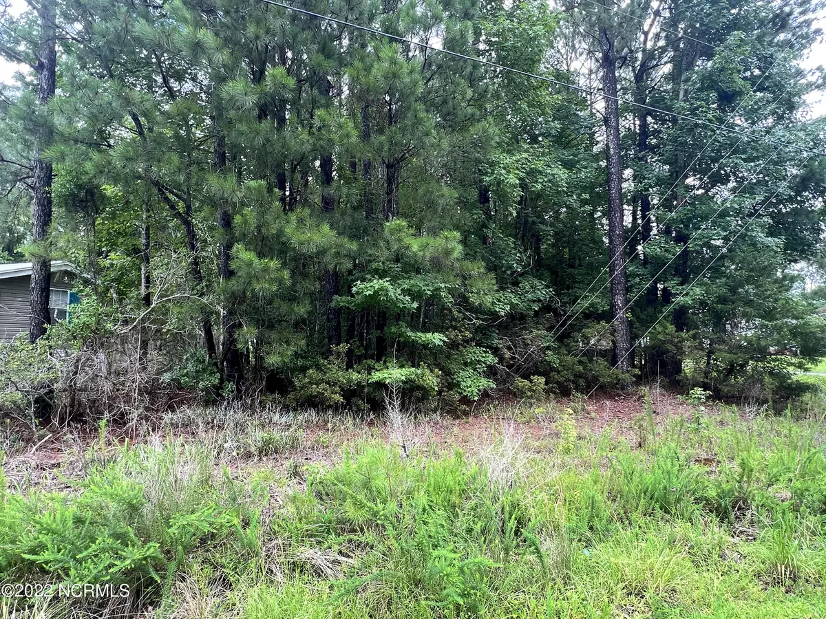 Hampstead, NC 28443,Lot 22 Doe Ridge