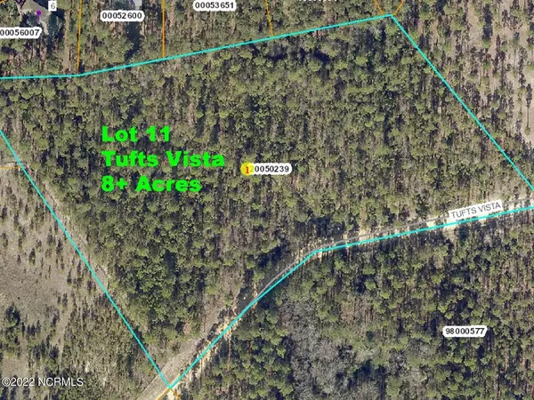 Jackson Springs, NC 27281,Lot 11 Tufts VIS