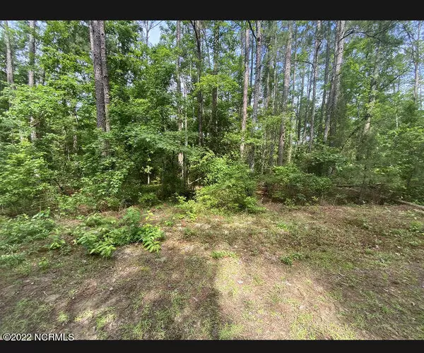 870 Hawthorne DR, Vass, NC 28394