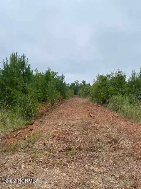 Blounts Creek, NC 27814,0 Ramrod RD