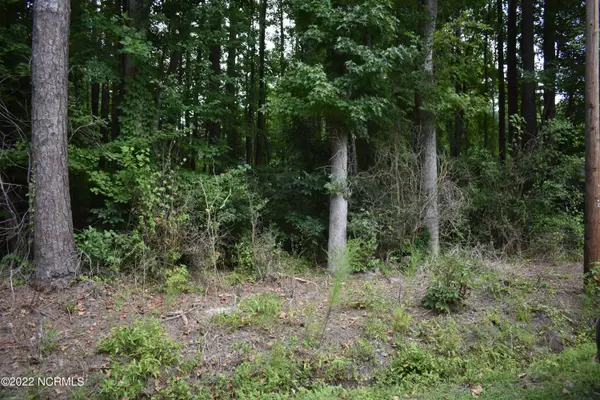 Lot 42 Oak DR, Blounts Creek, NC 27814