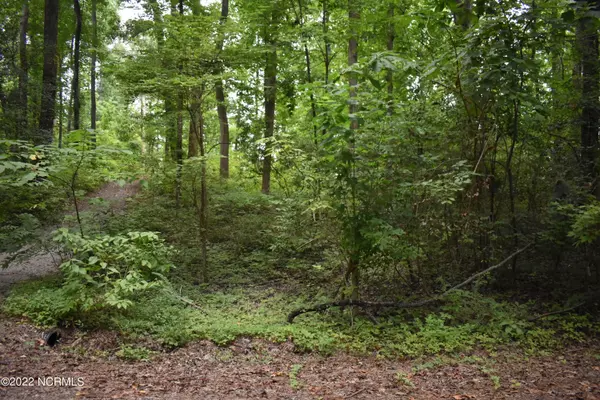 Lot 42 River RD, Blounts Creek, NC 27814