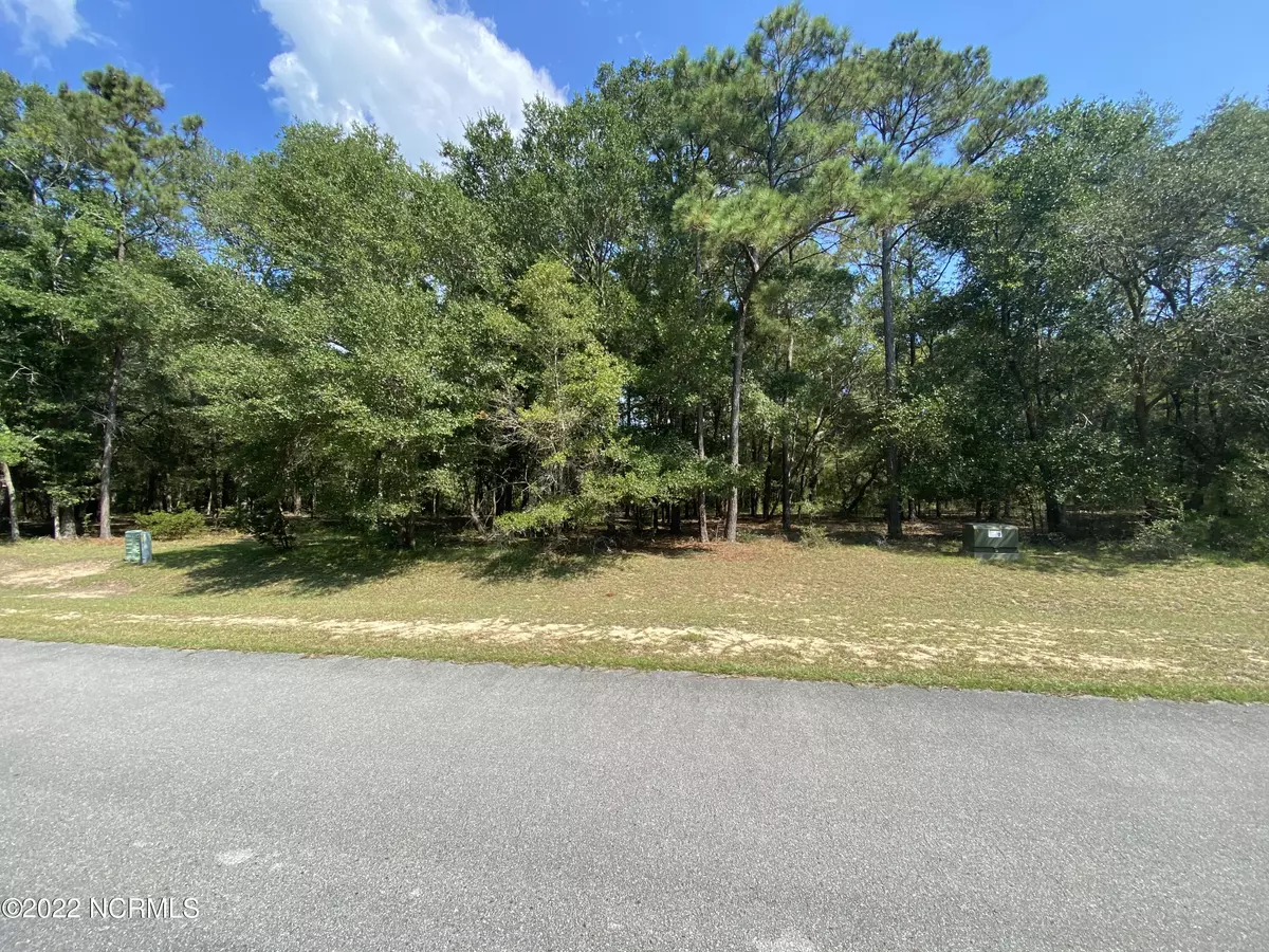 Supply, NC 28462,3386 Four Water View SW