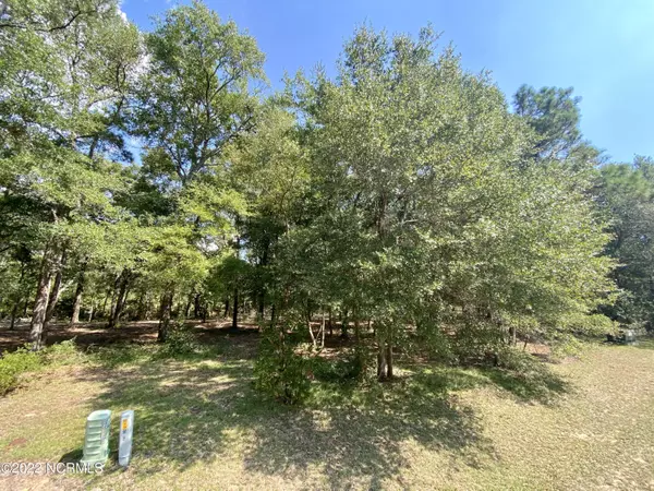 Supply, NC 28462,3386 Four Water View SW