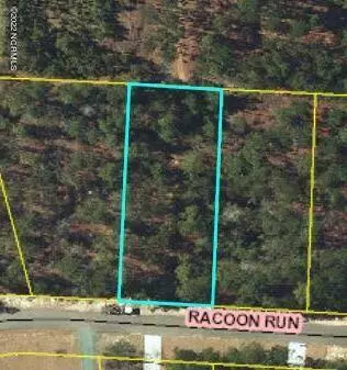 Wagram, NC 28396,27 Racoon RUN