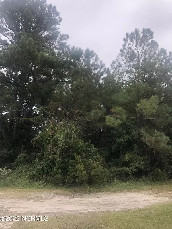 Smyrna, NC 28579,115 Guy Willis LN