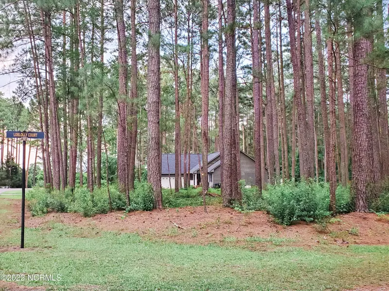 Lot 20 Loblolly CT, Wagram, NC 28396