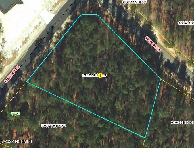 29 Wildlife LN, Wagram, NC 28396