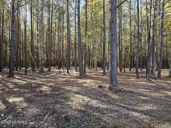 Blounts Creek, NC 27814,Lot 56 Eagle Nest TRL