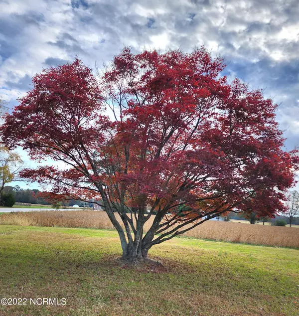 Roper, NC 27970,13274 N Nc Highway 32 N