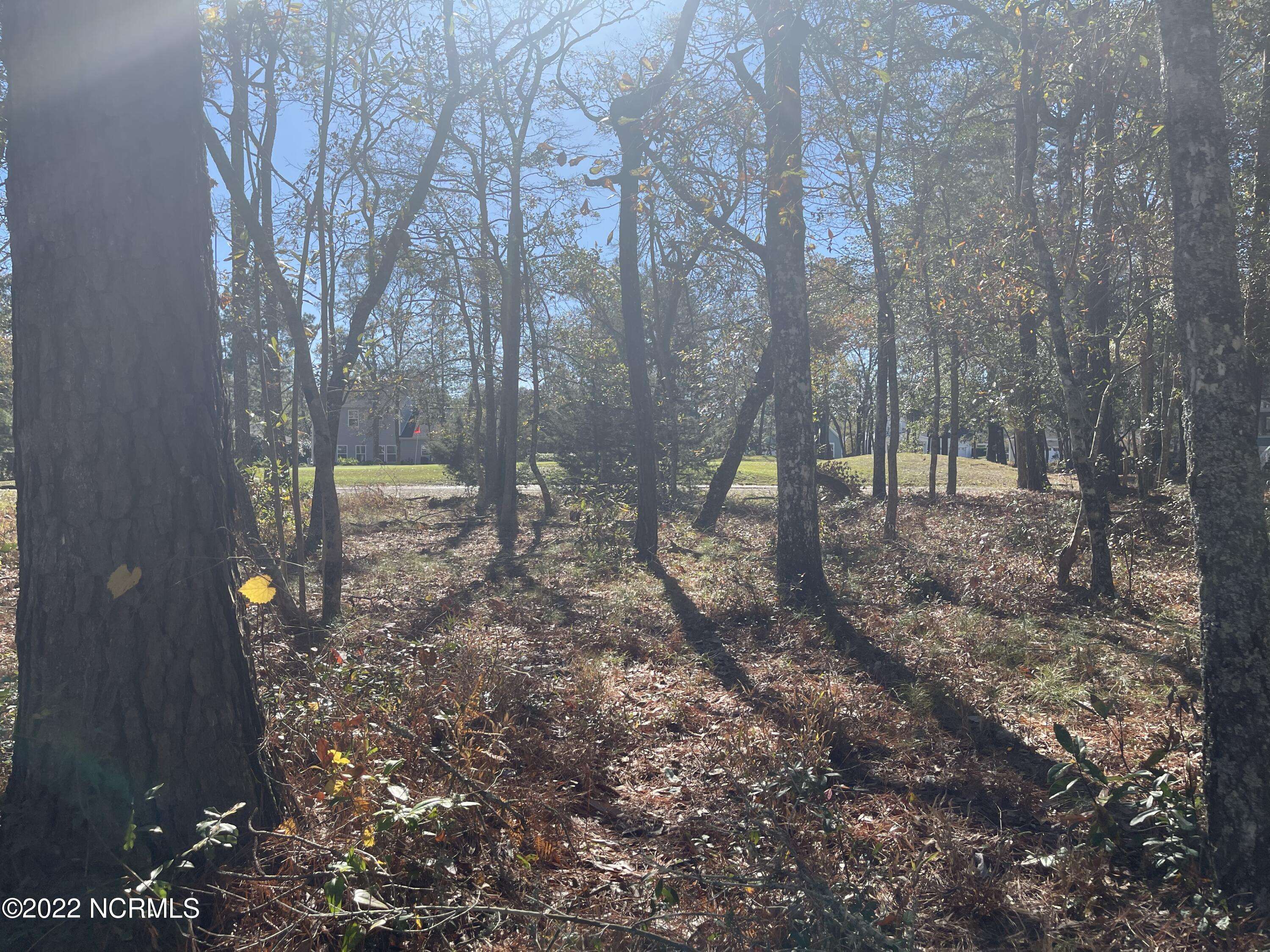Ocean Isle Beach, NC 28469,1643 Deerfield DR SW